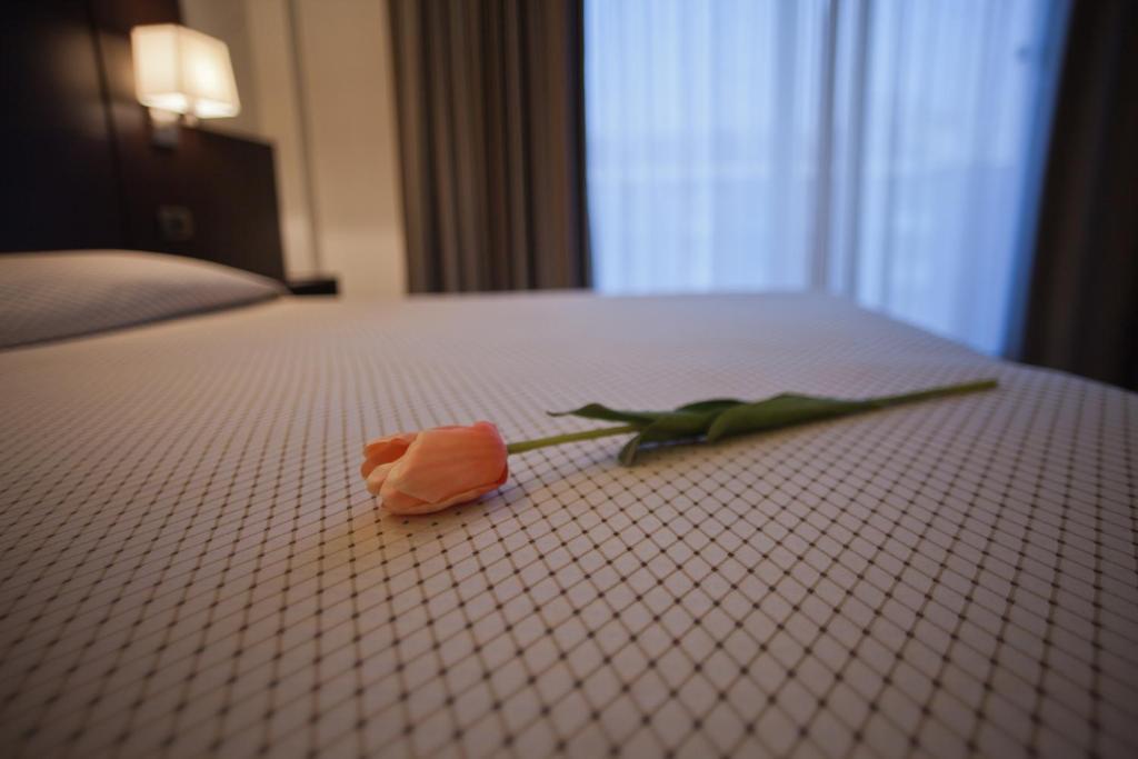 Hotel Principe Residence Vasto Rum bild